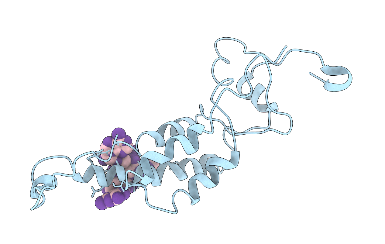3PDM image