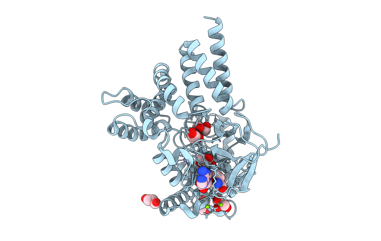 3PDN image