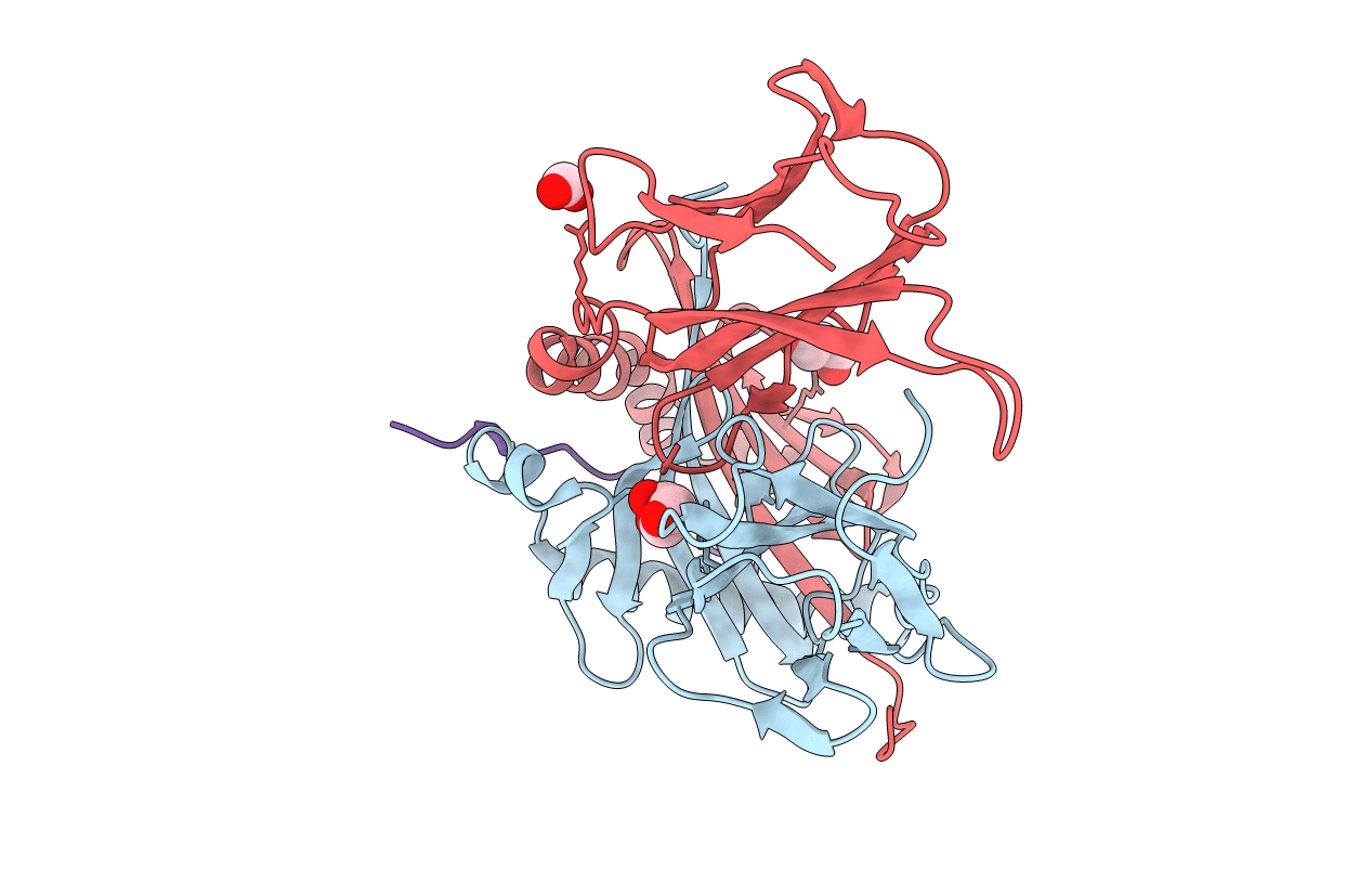 3PDO image