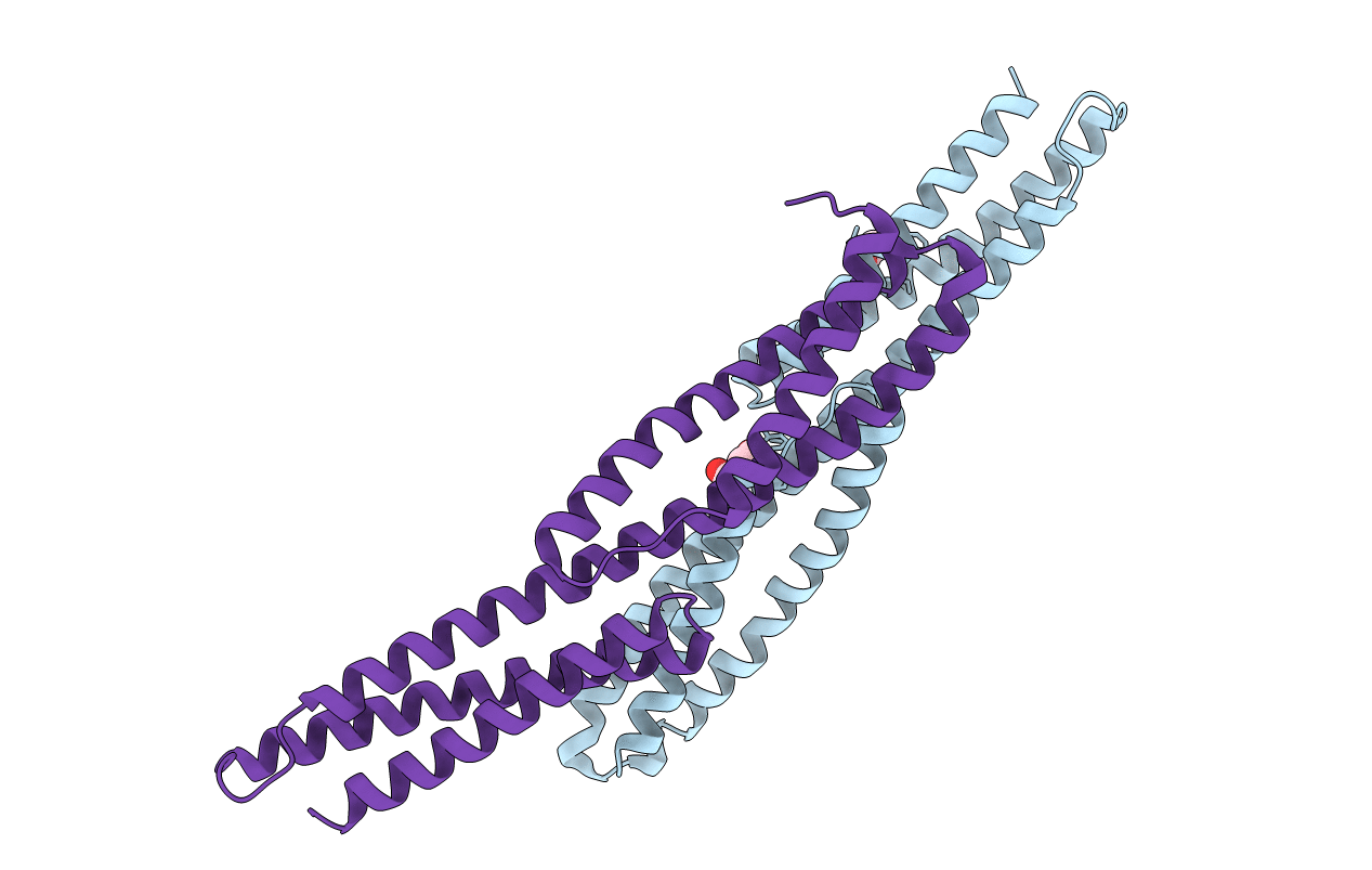 3PDY image