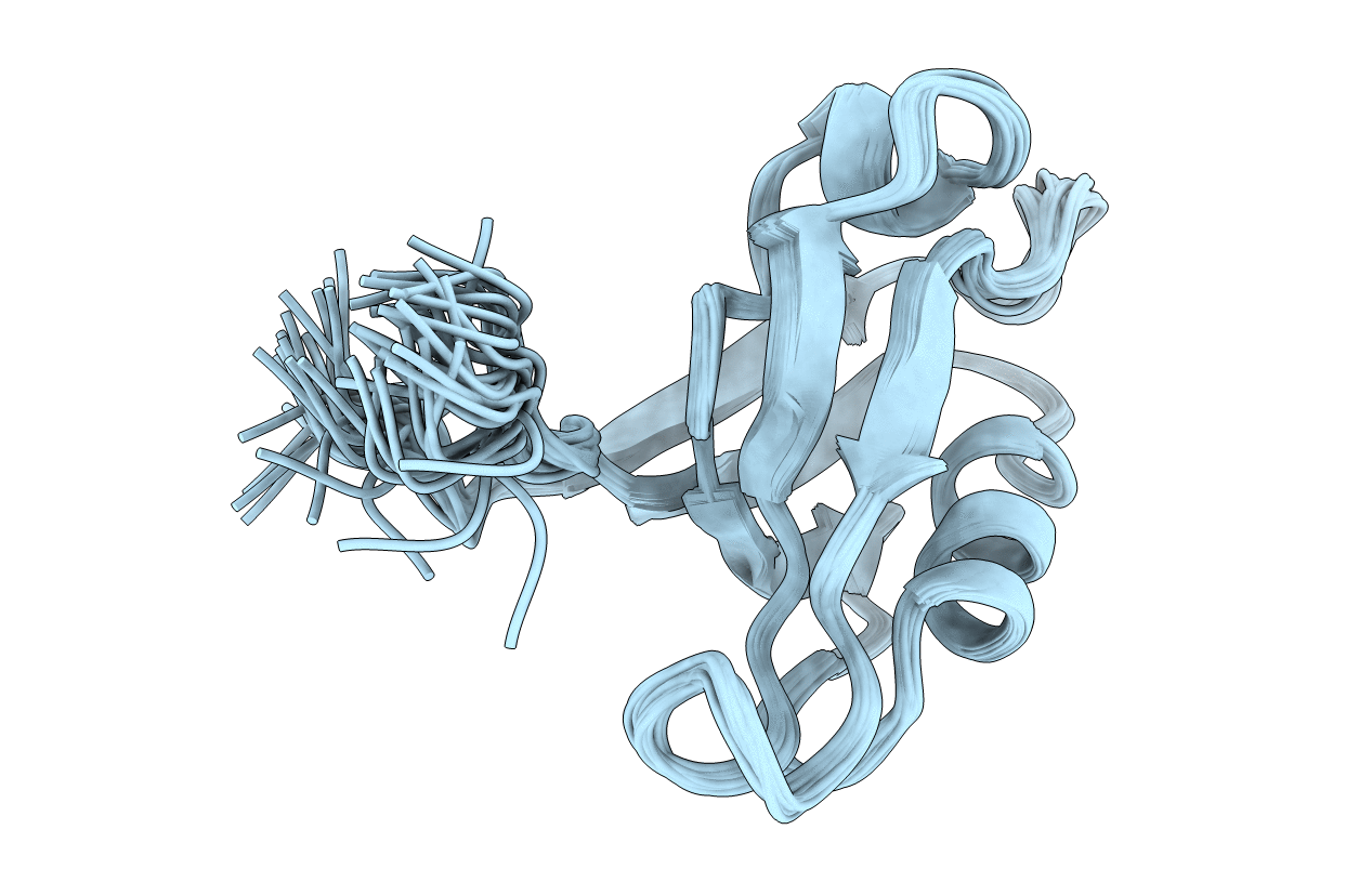 3PDZ image