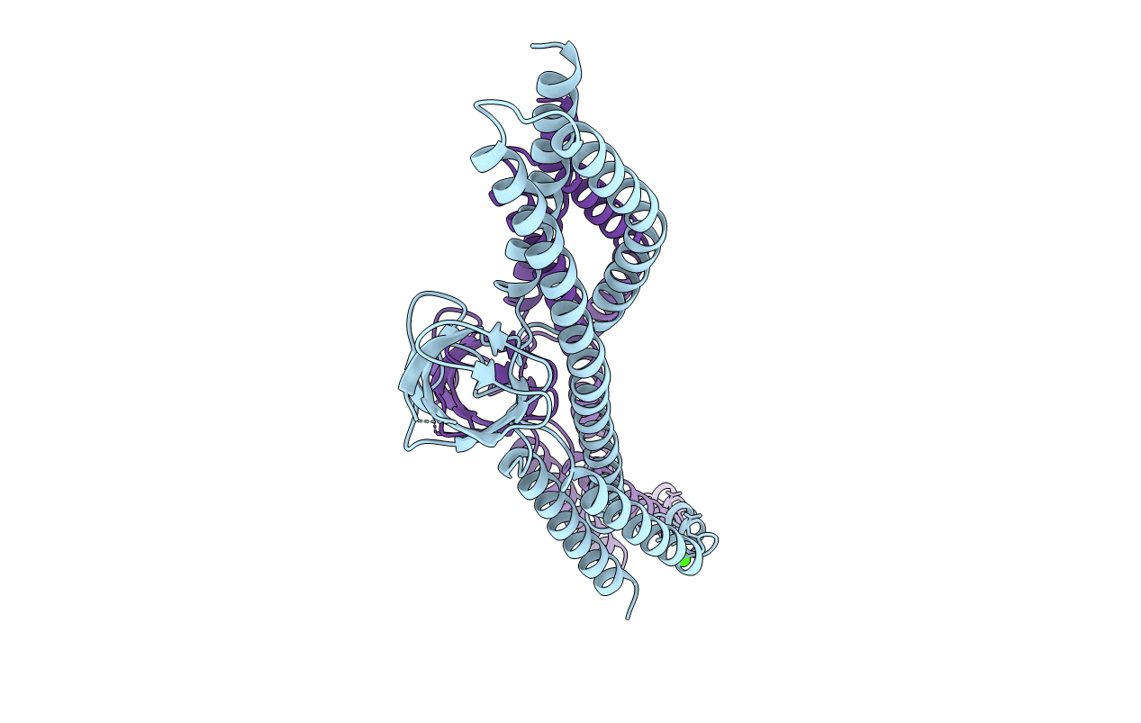 3PE0 image