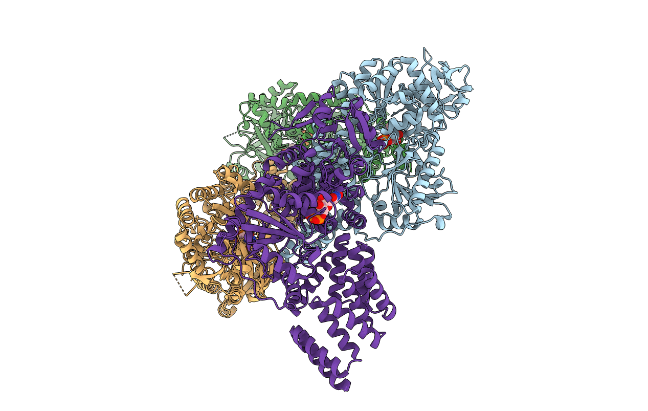 3PE3 image