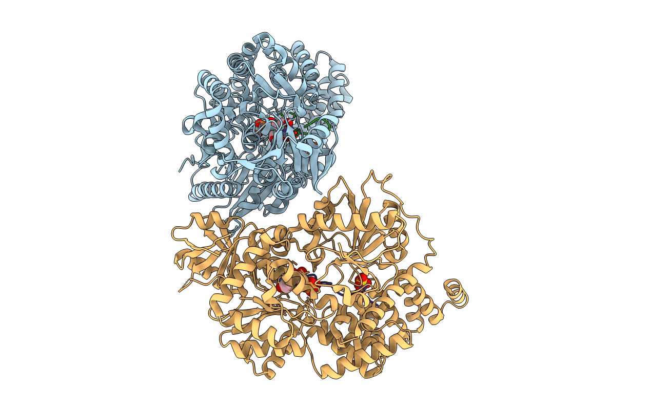 3PE4 image