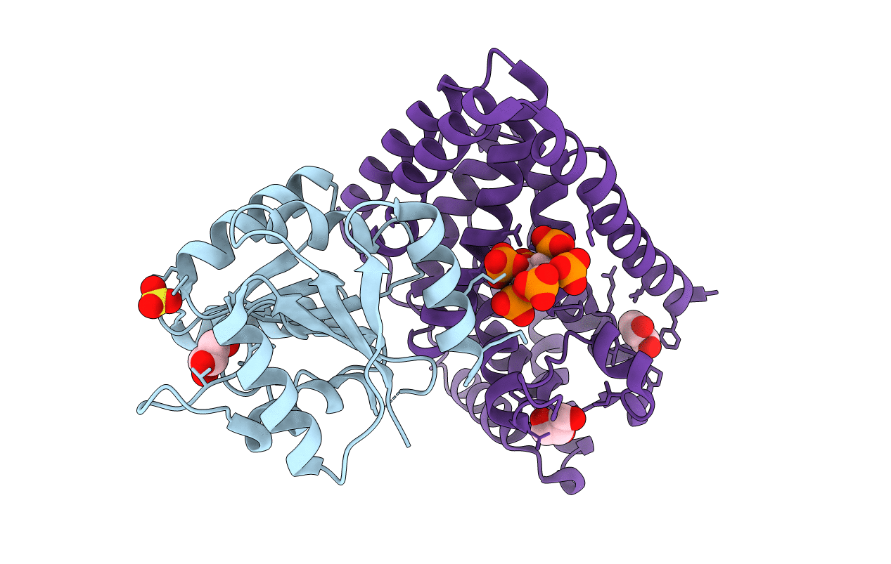 3PEV image