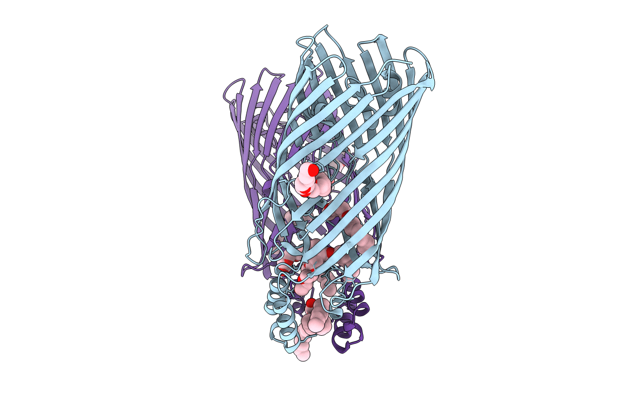 3PF1 image