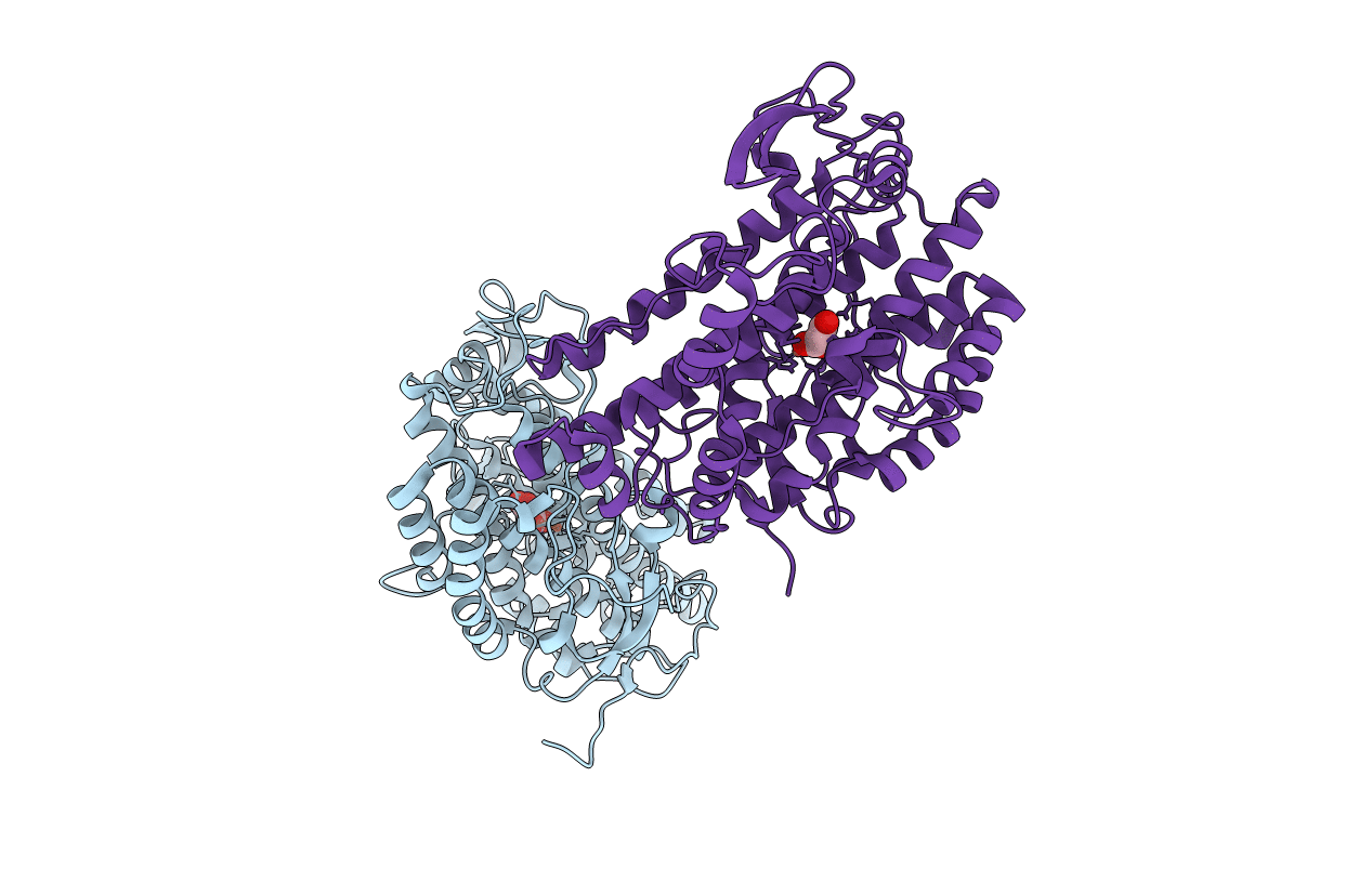 3PF7 image