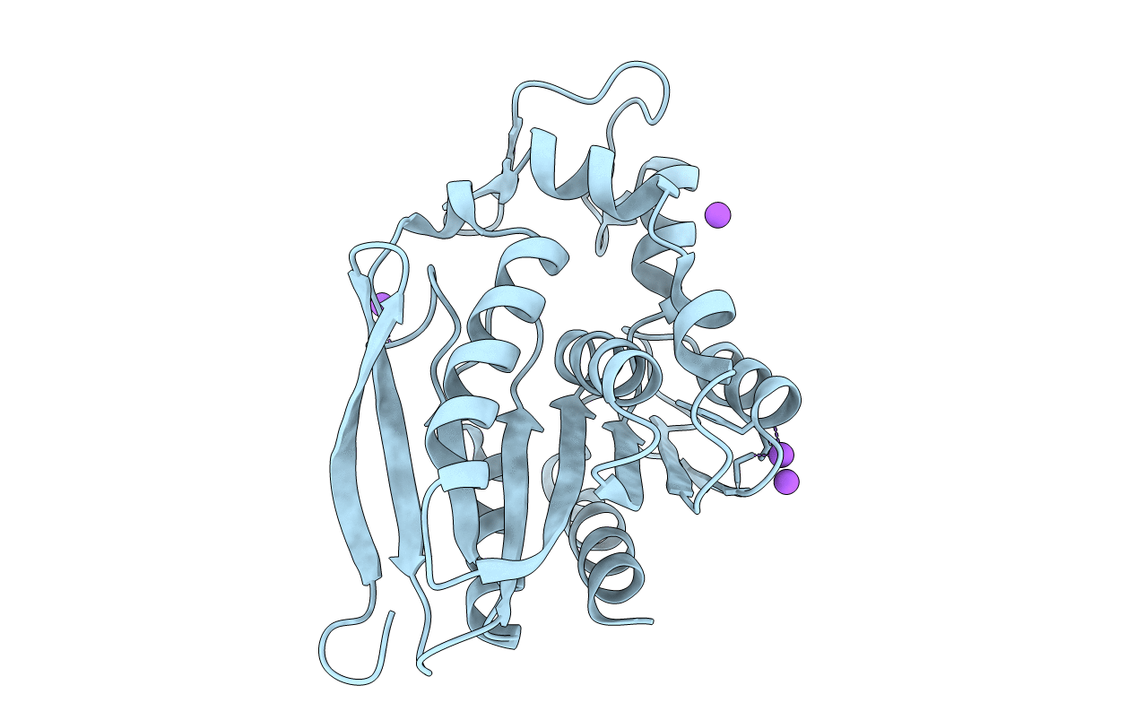 3PF9 image