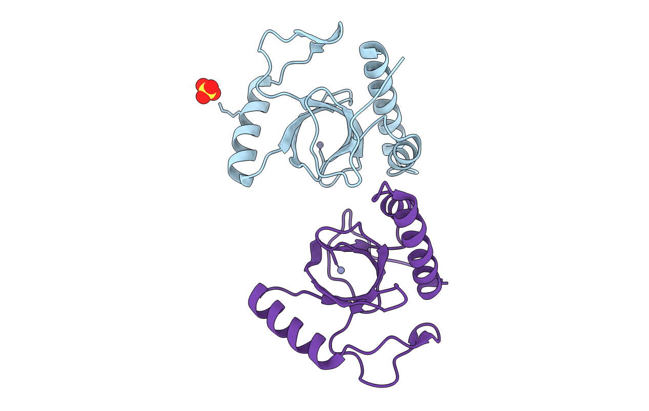 3PFS image