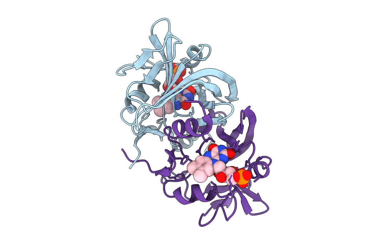 3PFT image