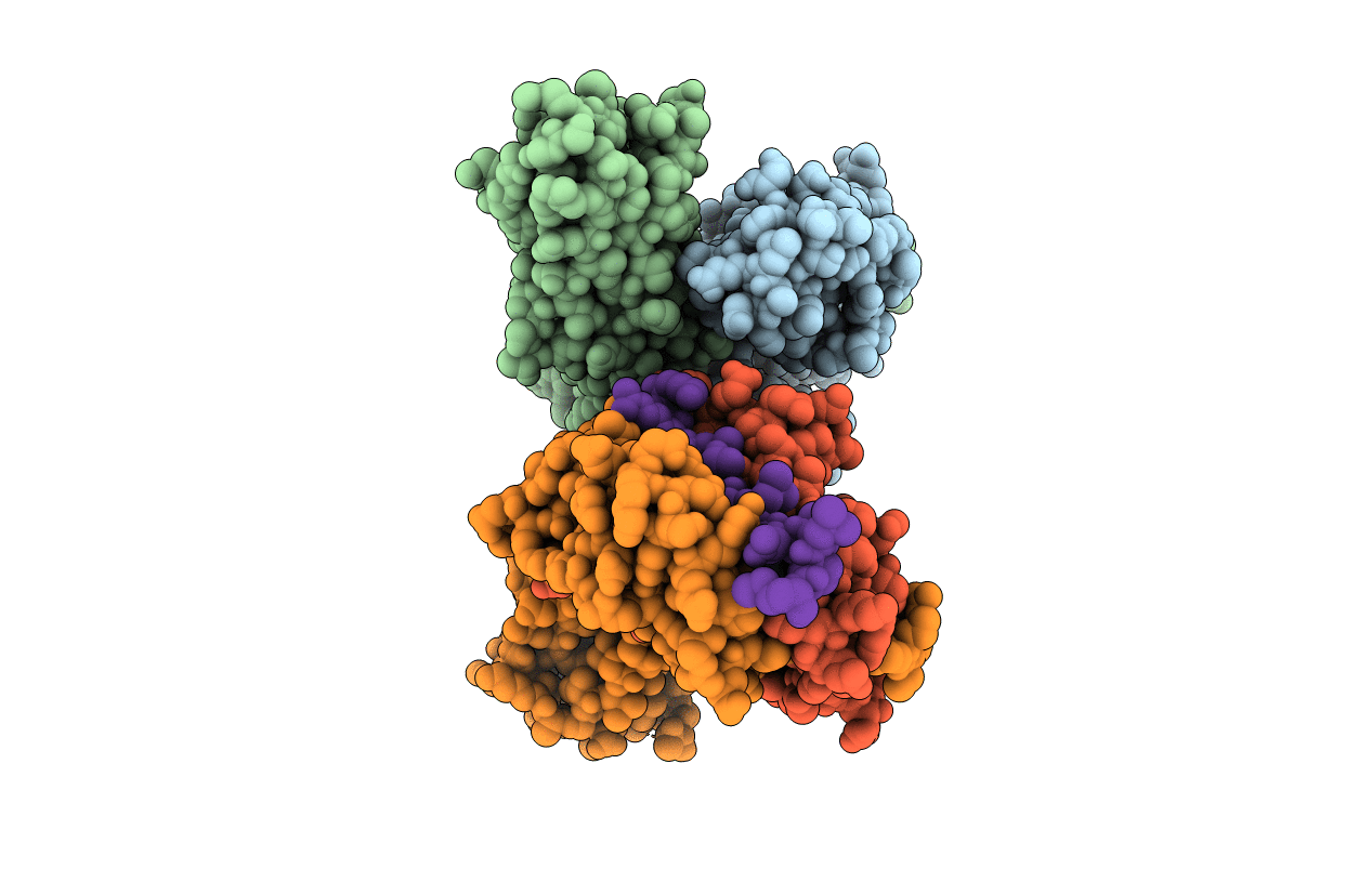 3PGD image