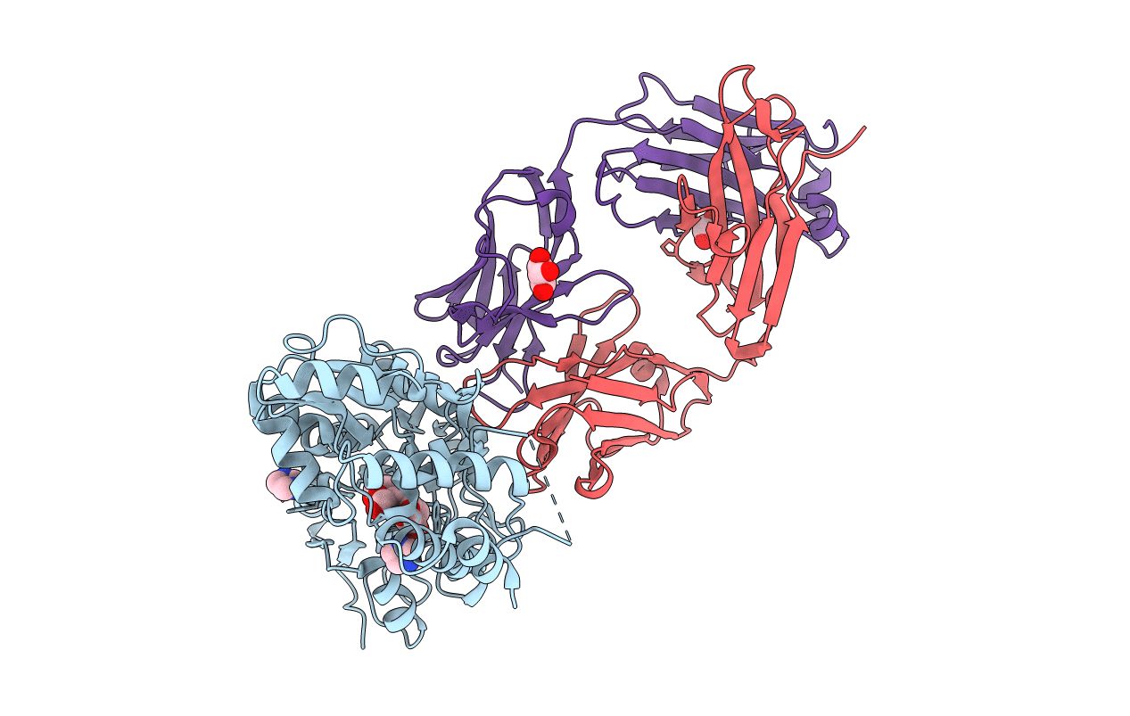 3PGF image