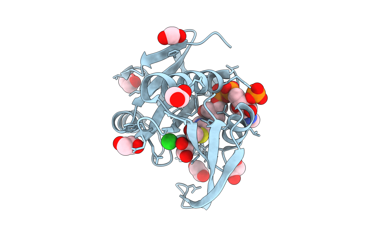 3PGP image