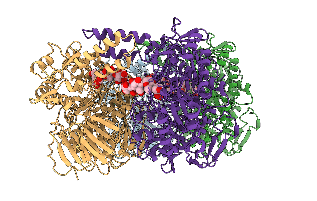 3PHA image