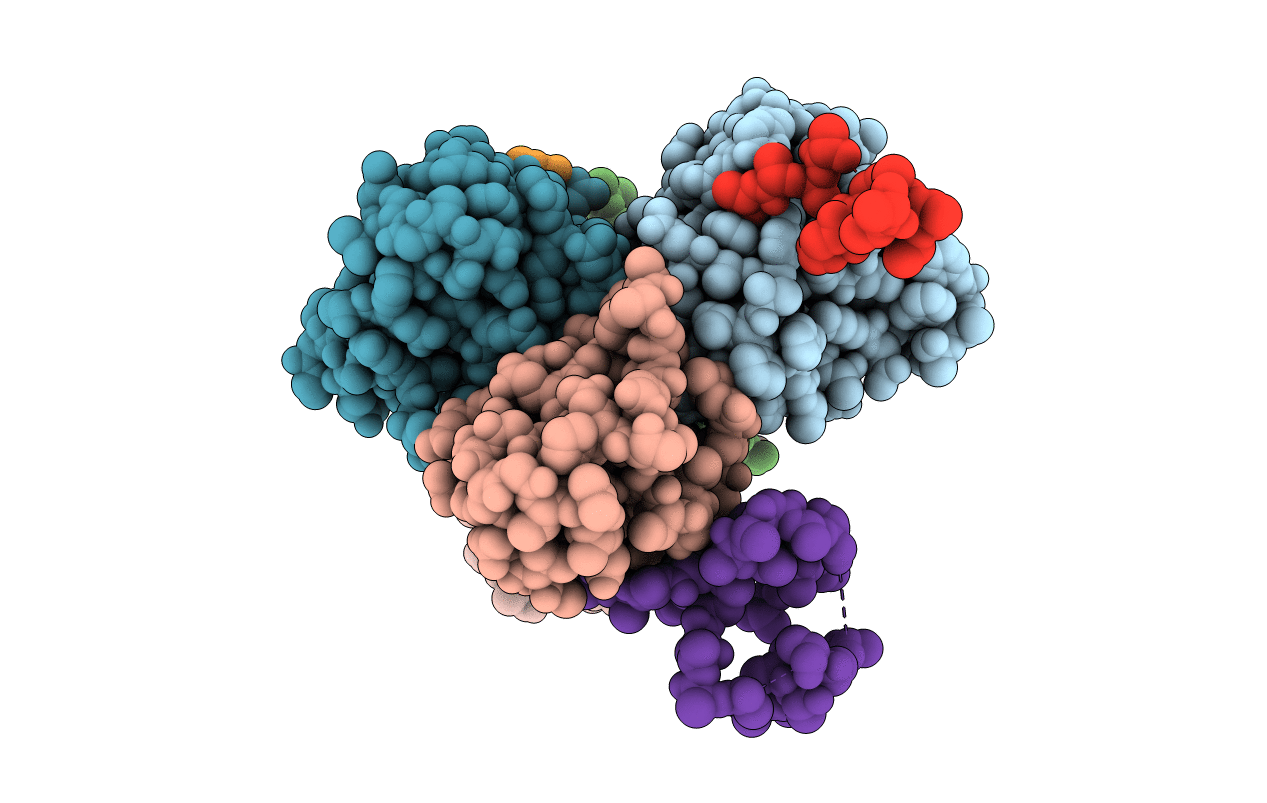 3PHD image