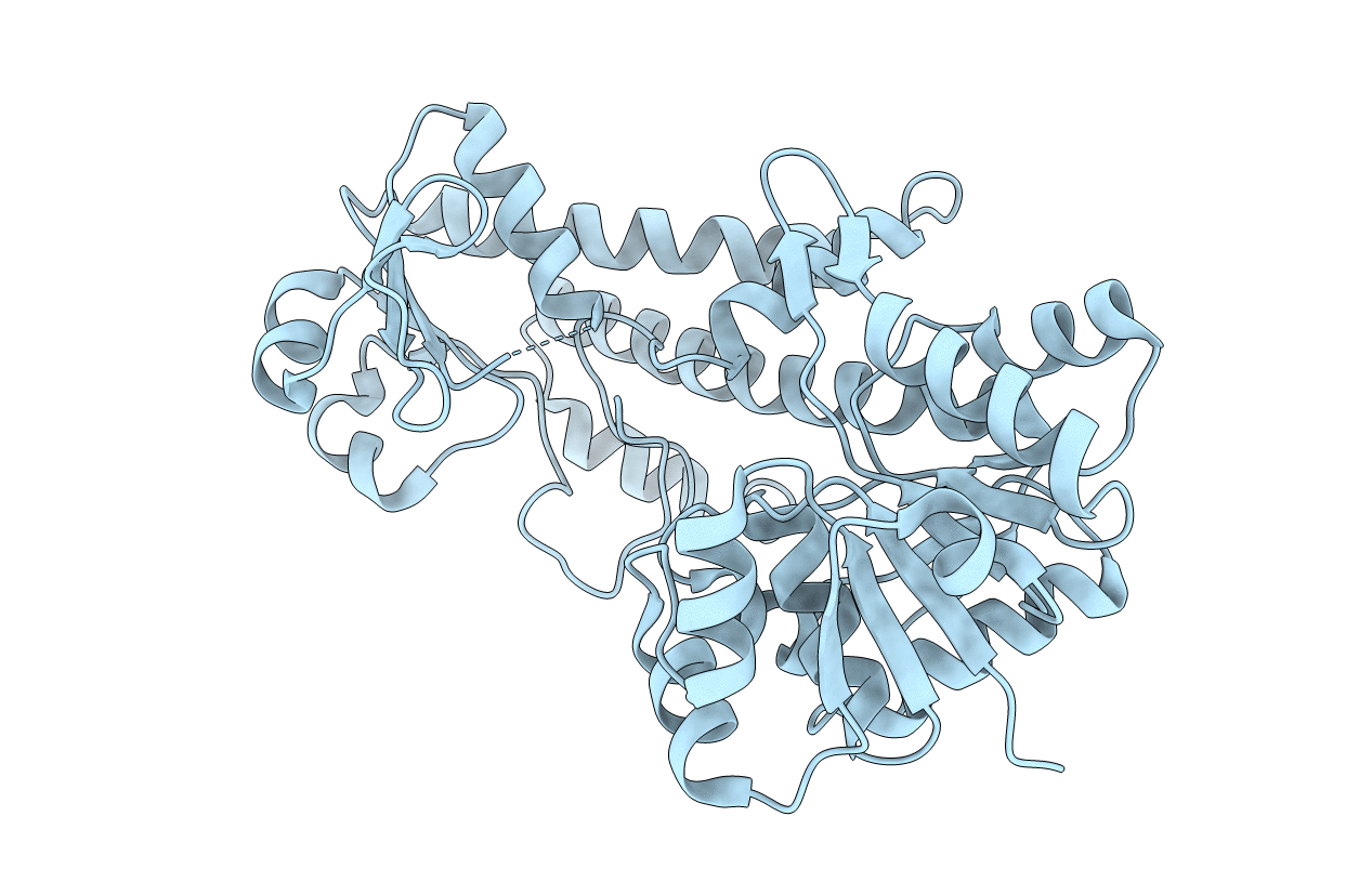 3PID image