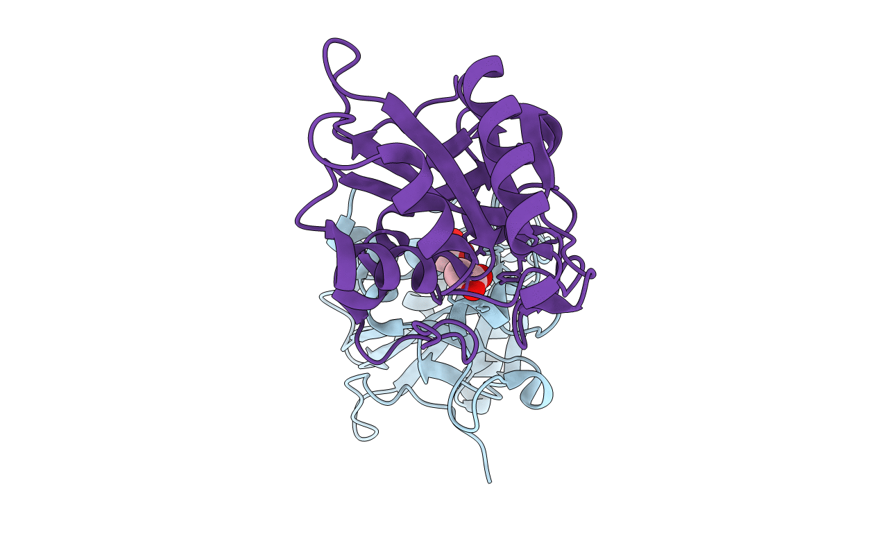3PIL image