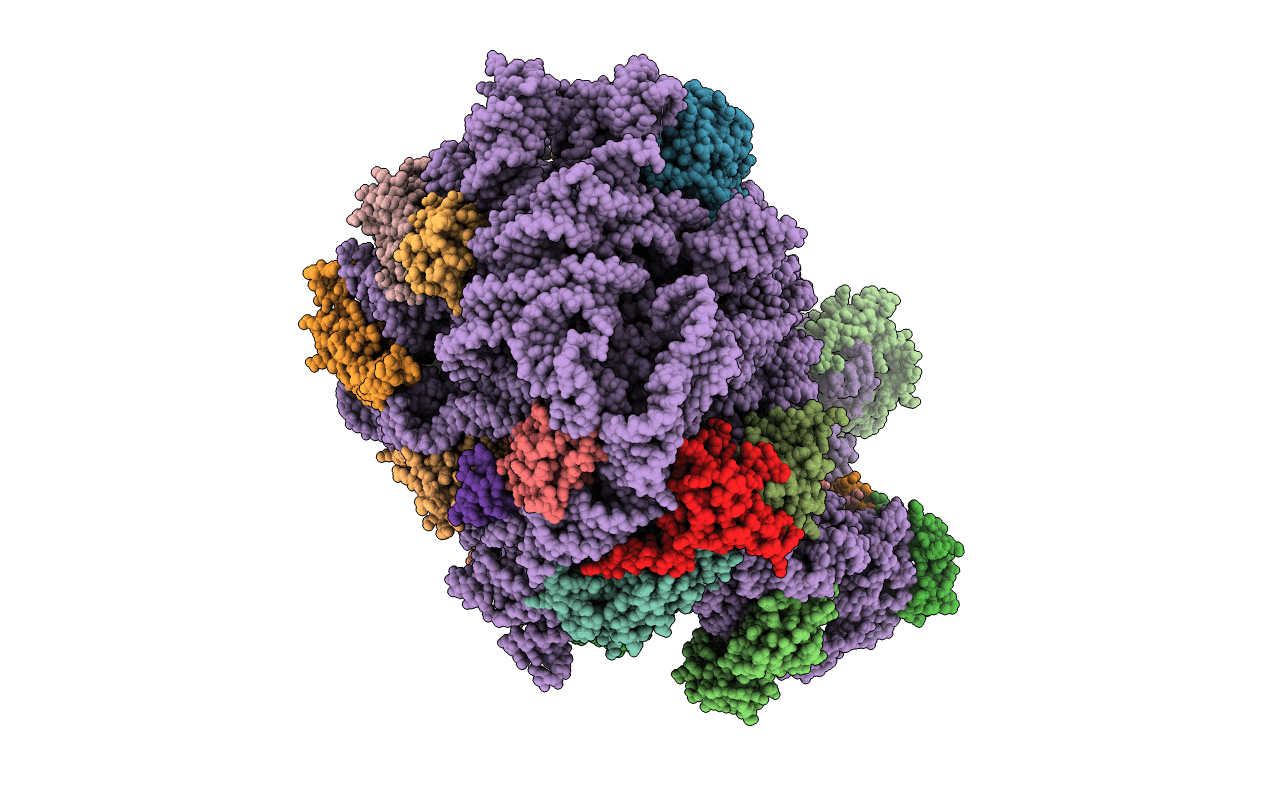 3PIP image