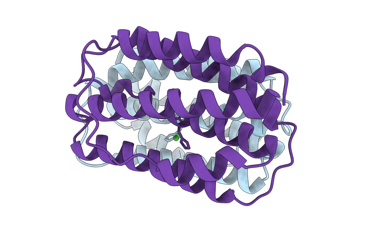 3PIV image