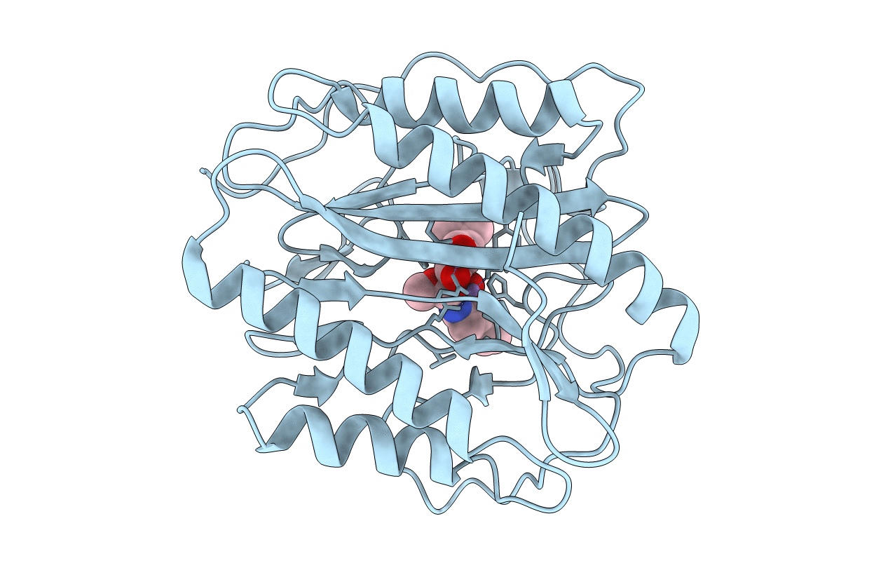 3PKD image