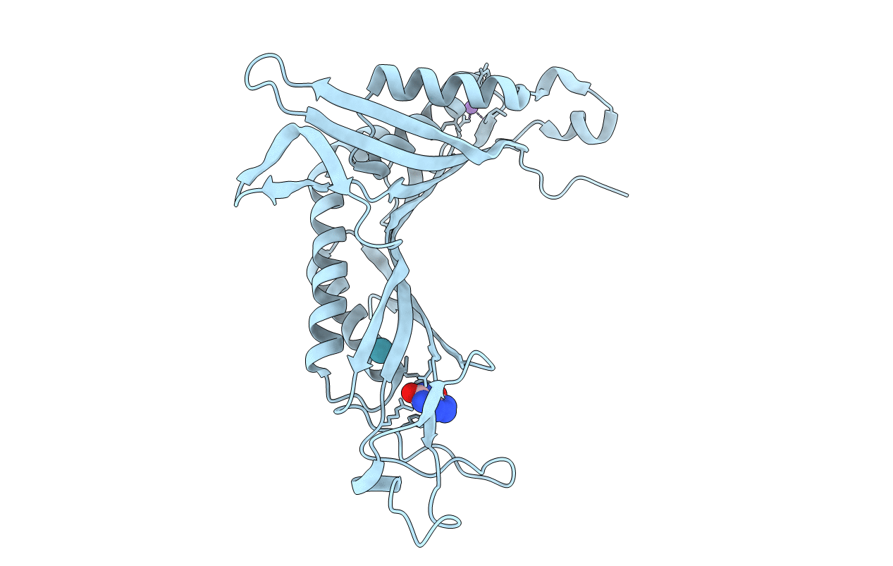3PKF image