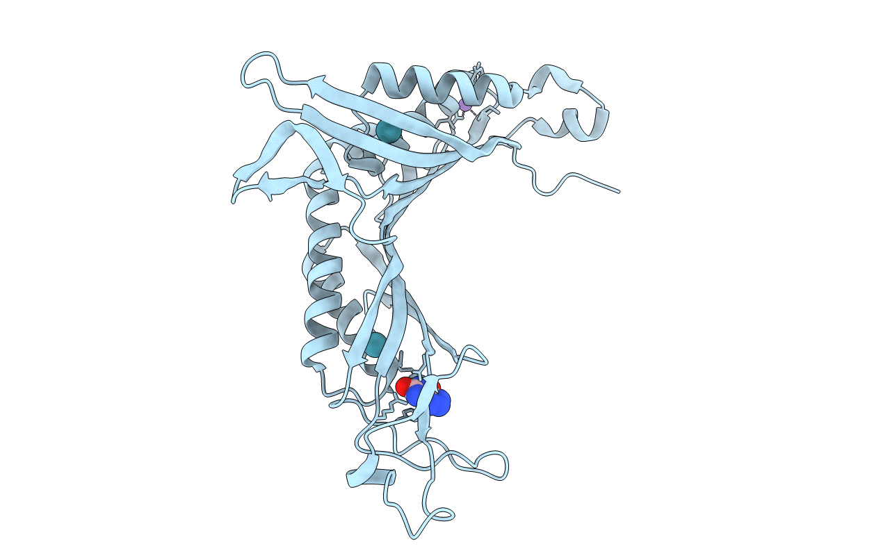 3PKH image