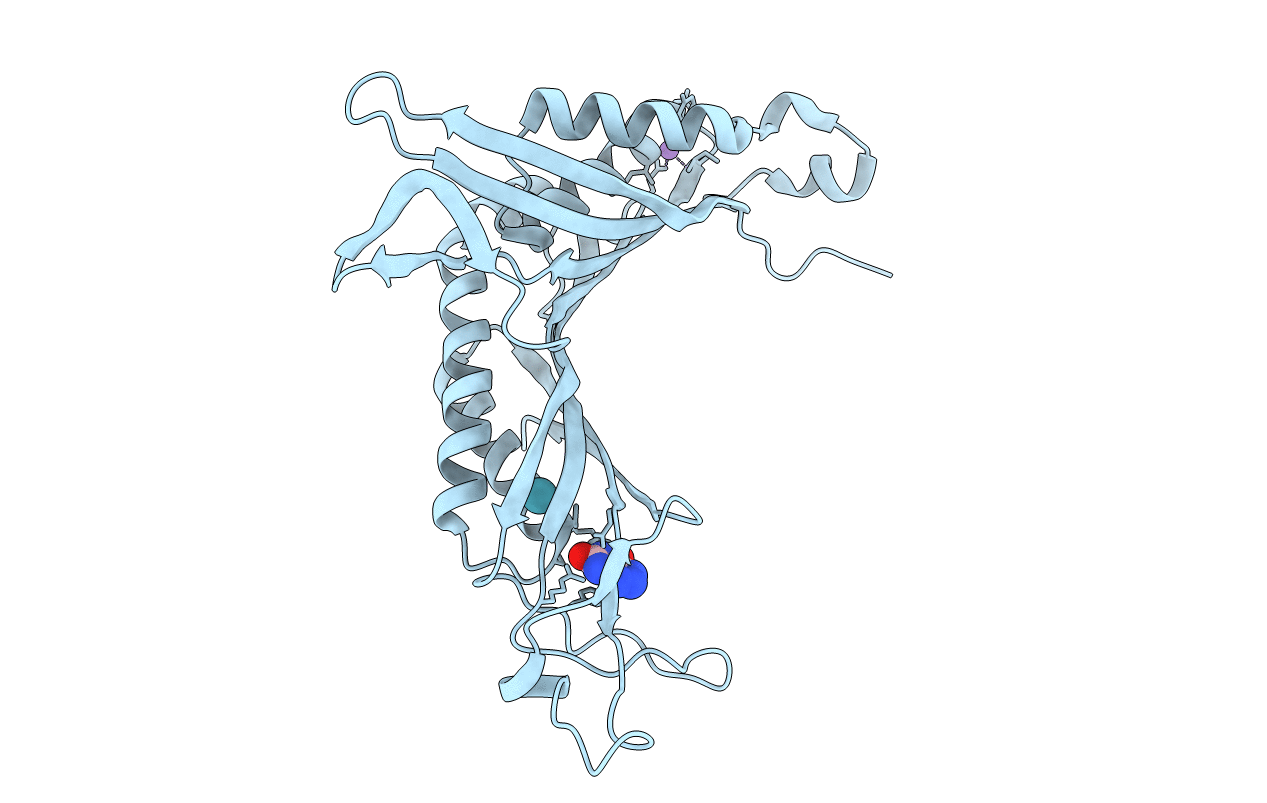 3PKL image