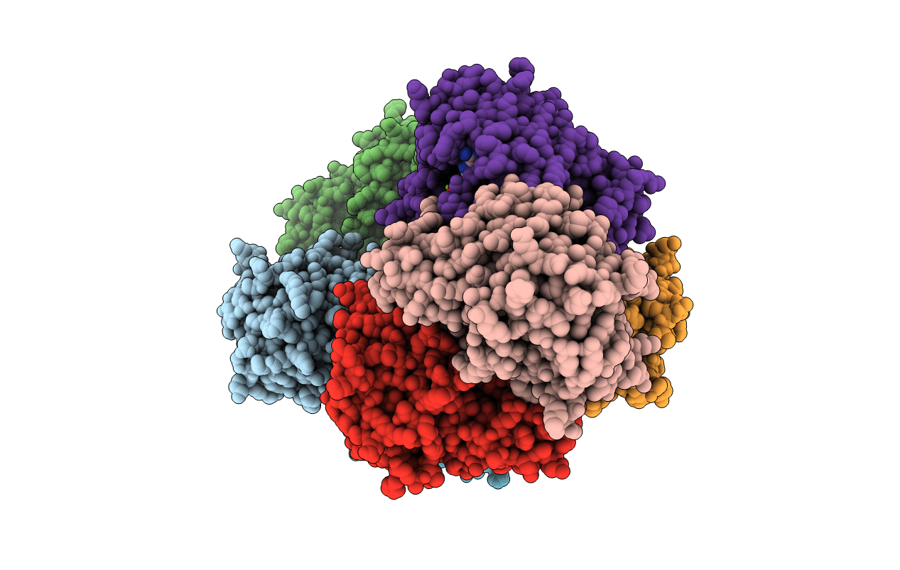 3PKP image