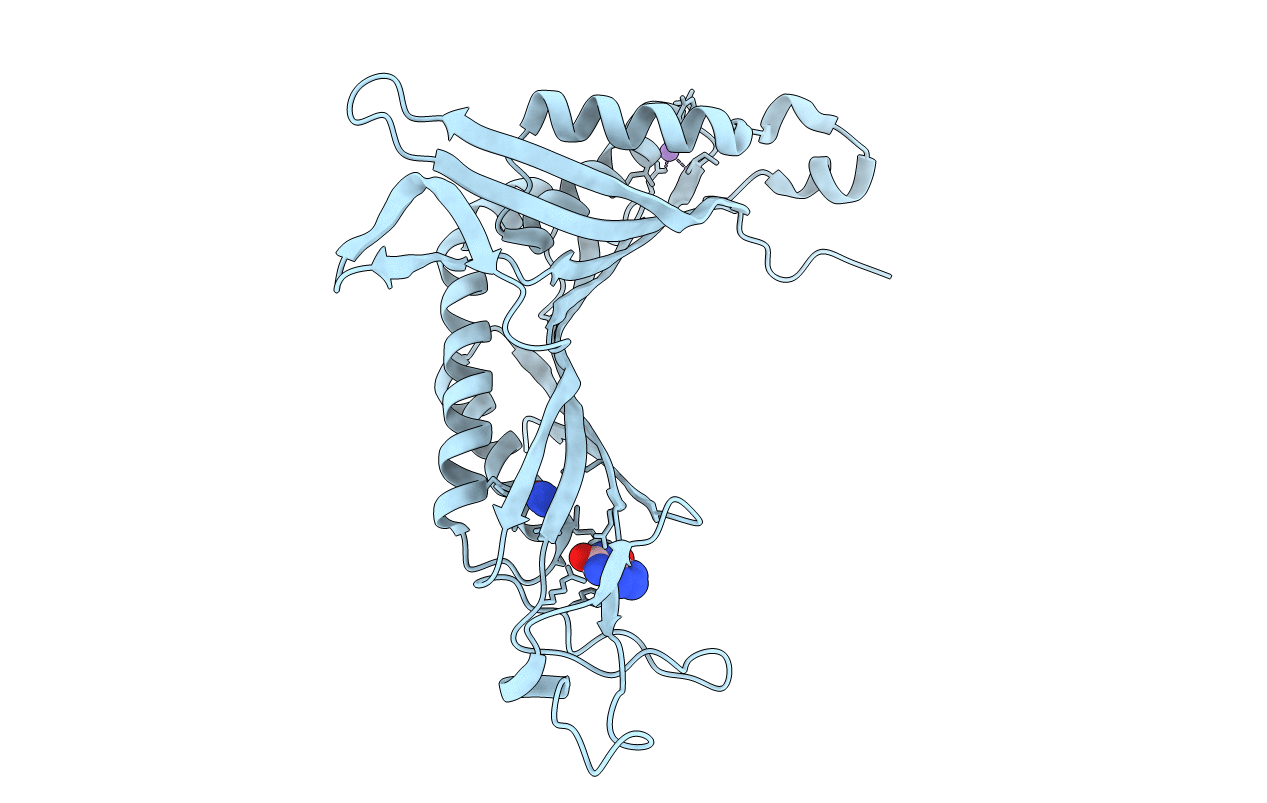 3PKT image