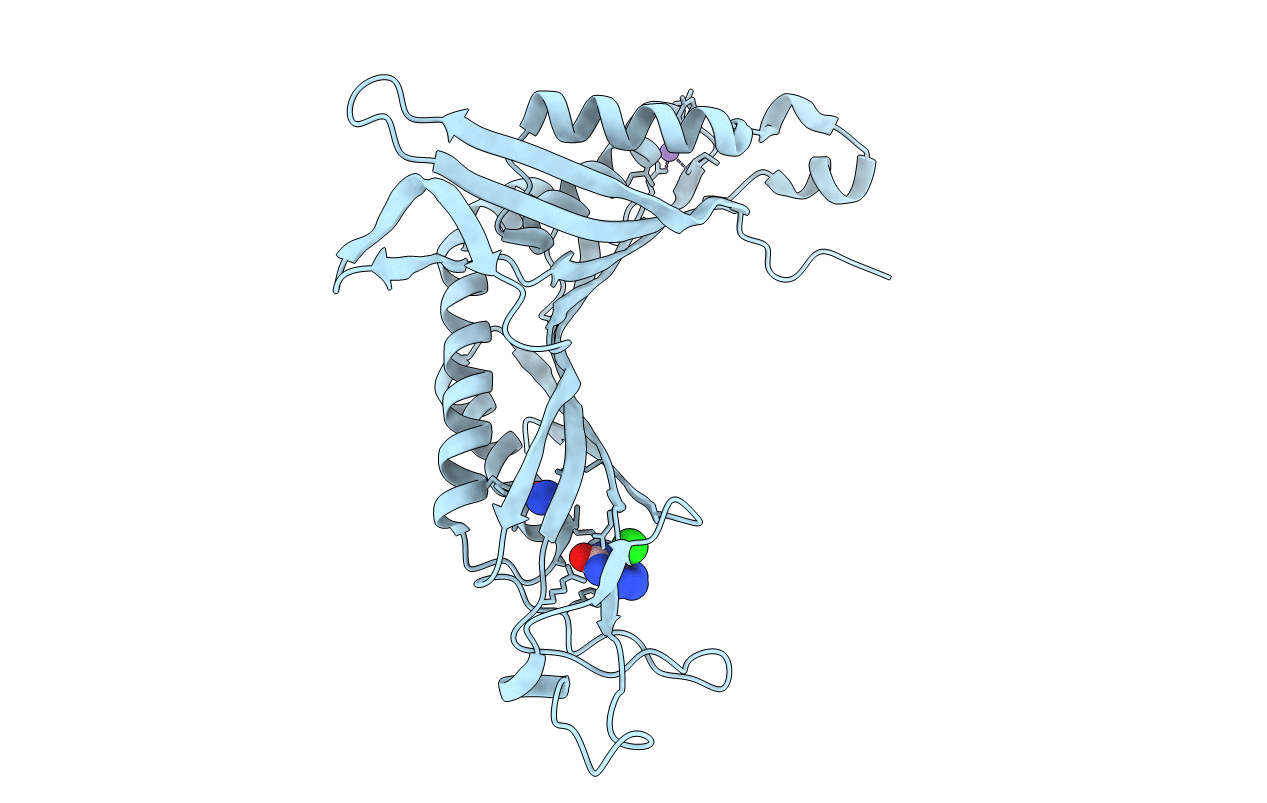 3PKU image
