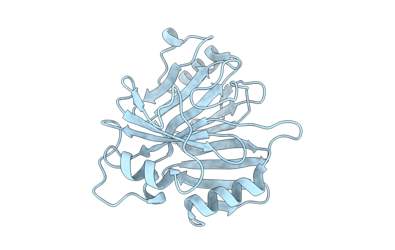 3PKV image