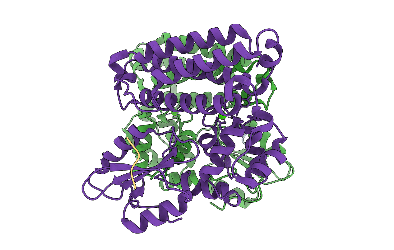 3PLF image