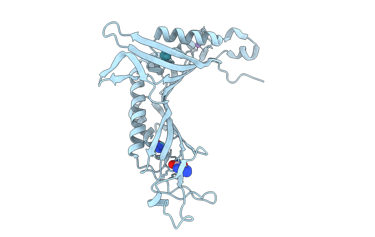 3PLJ image