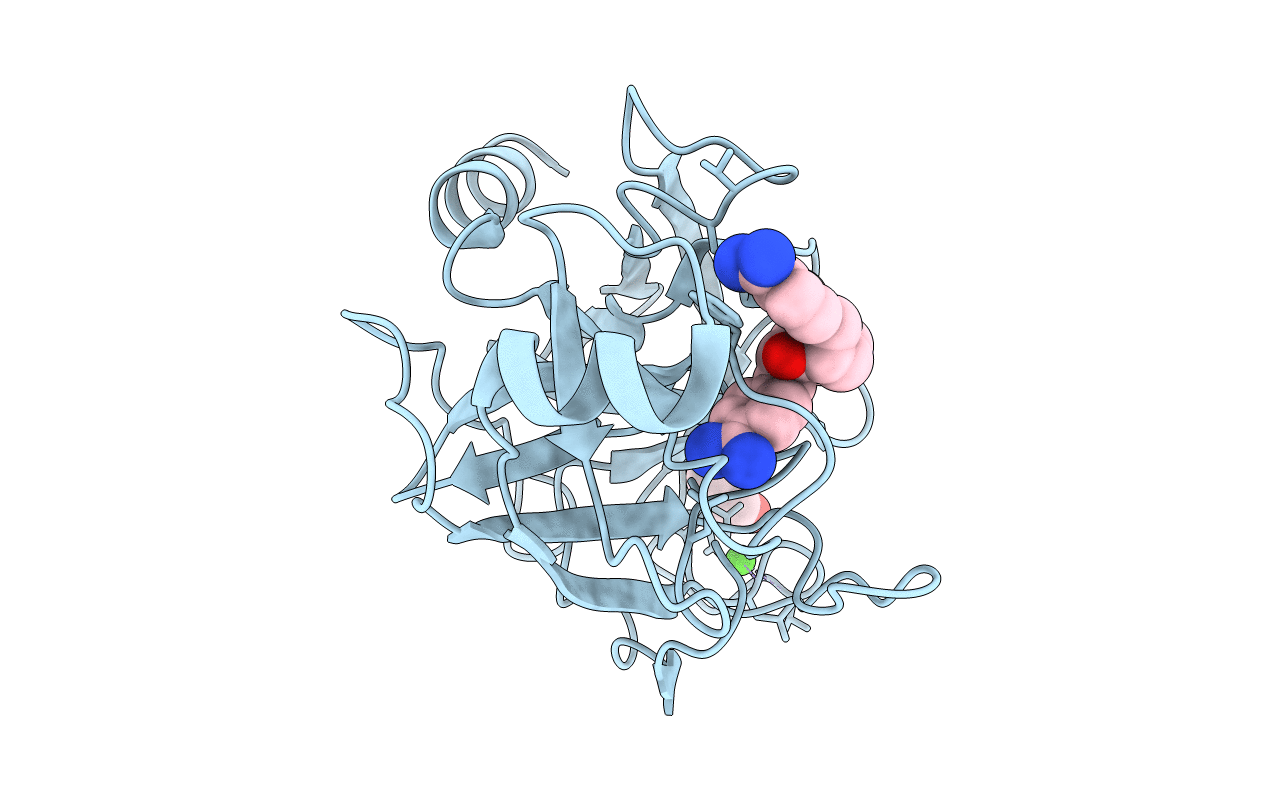 3PLP image