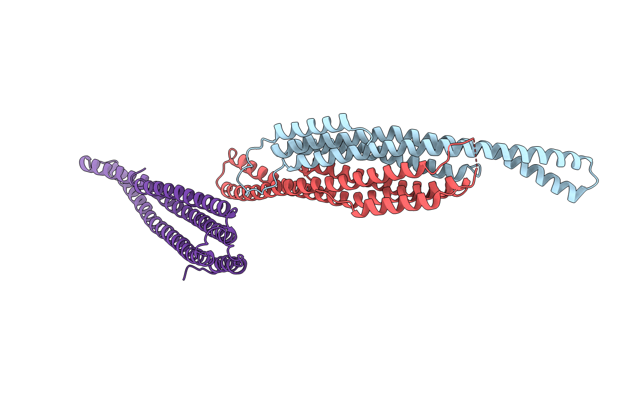 3PLT image