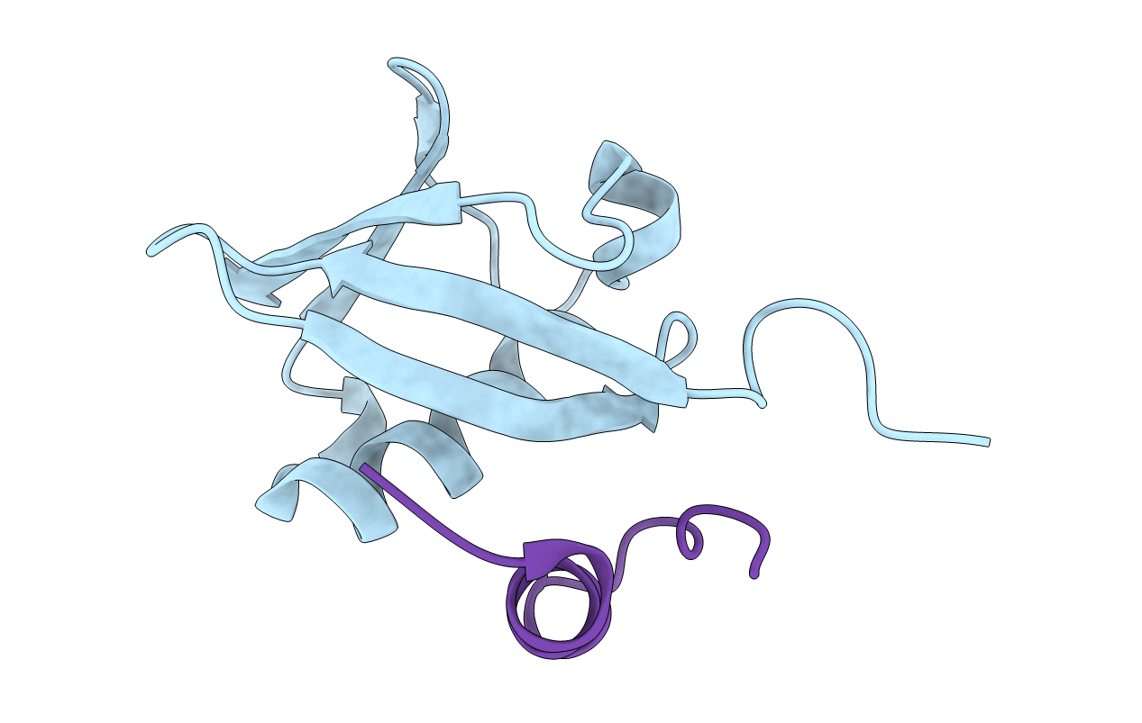 3PLV image