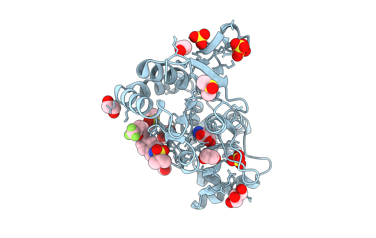 3PMX image