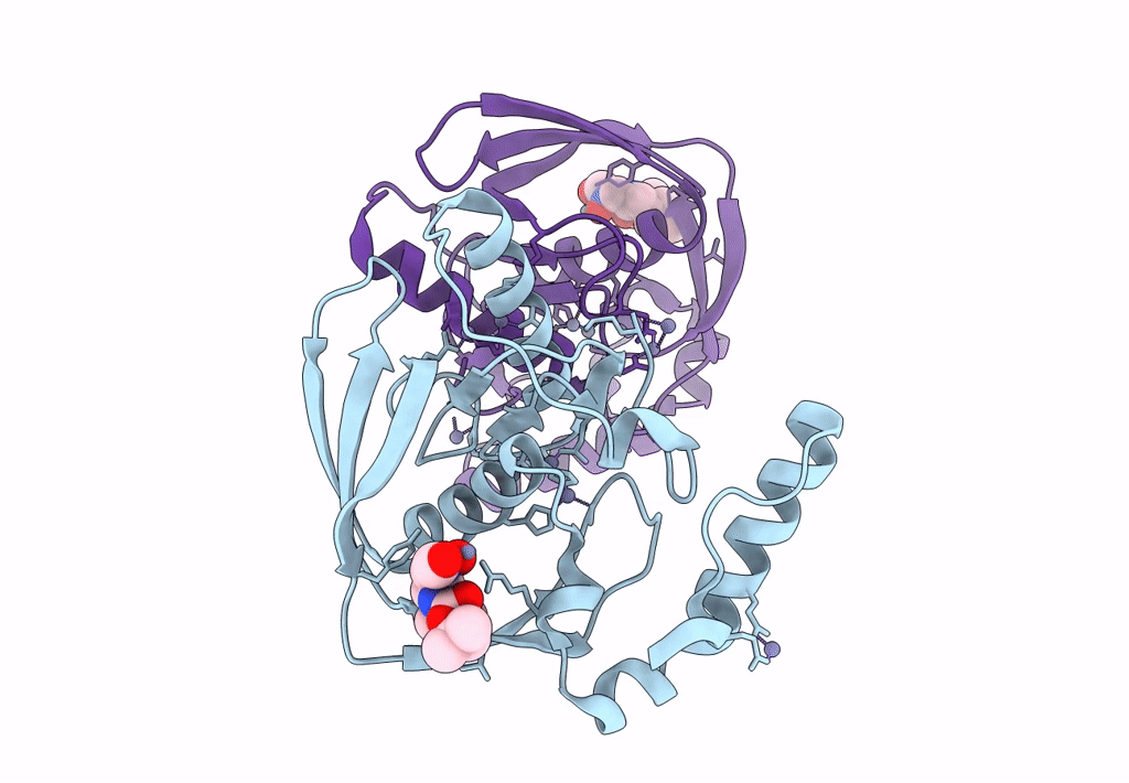 3PN3 image