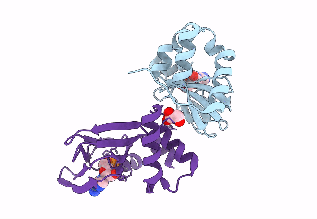 3PNA image