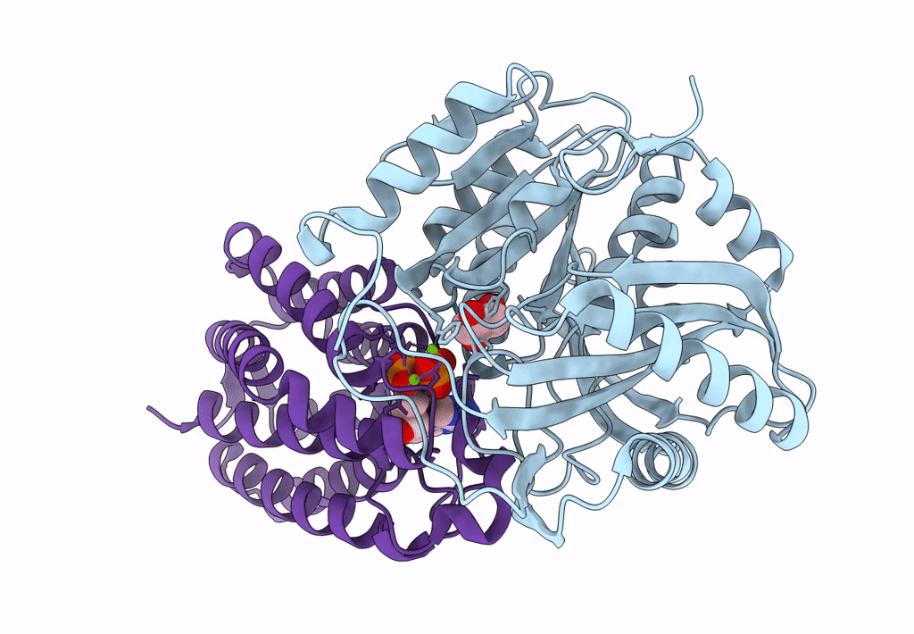 3PNL image