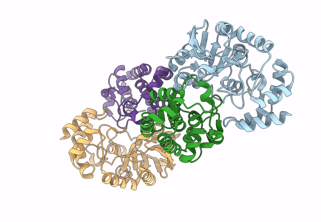 3PNT image