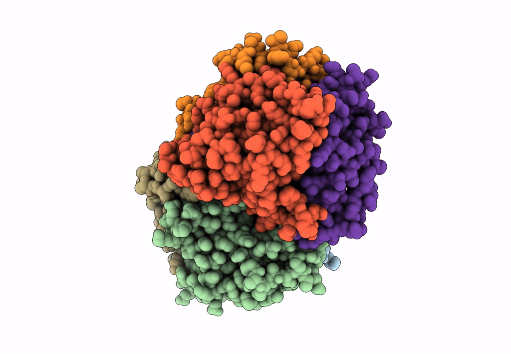 3PNX image