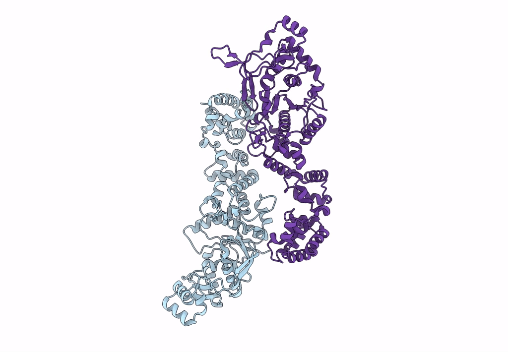 3PNY image