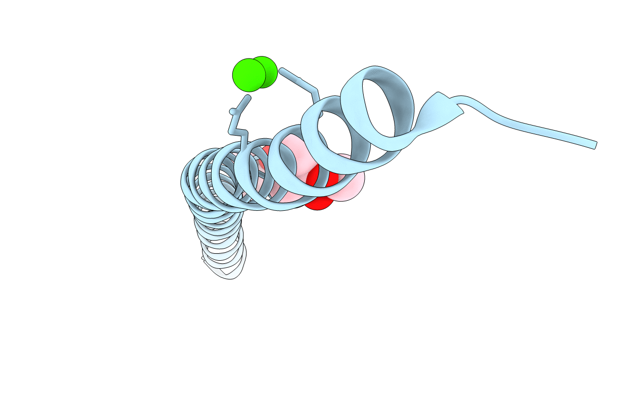 3PP5 image