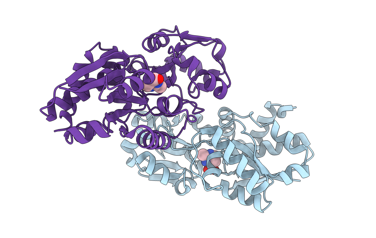 3PPR image