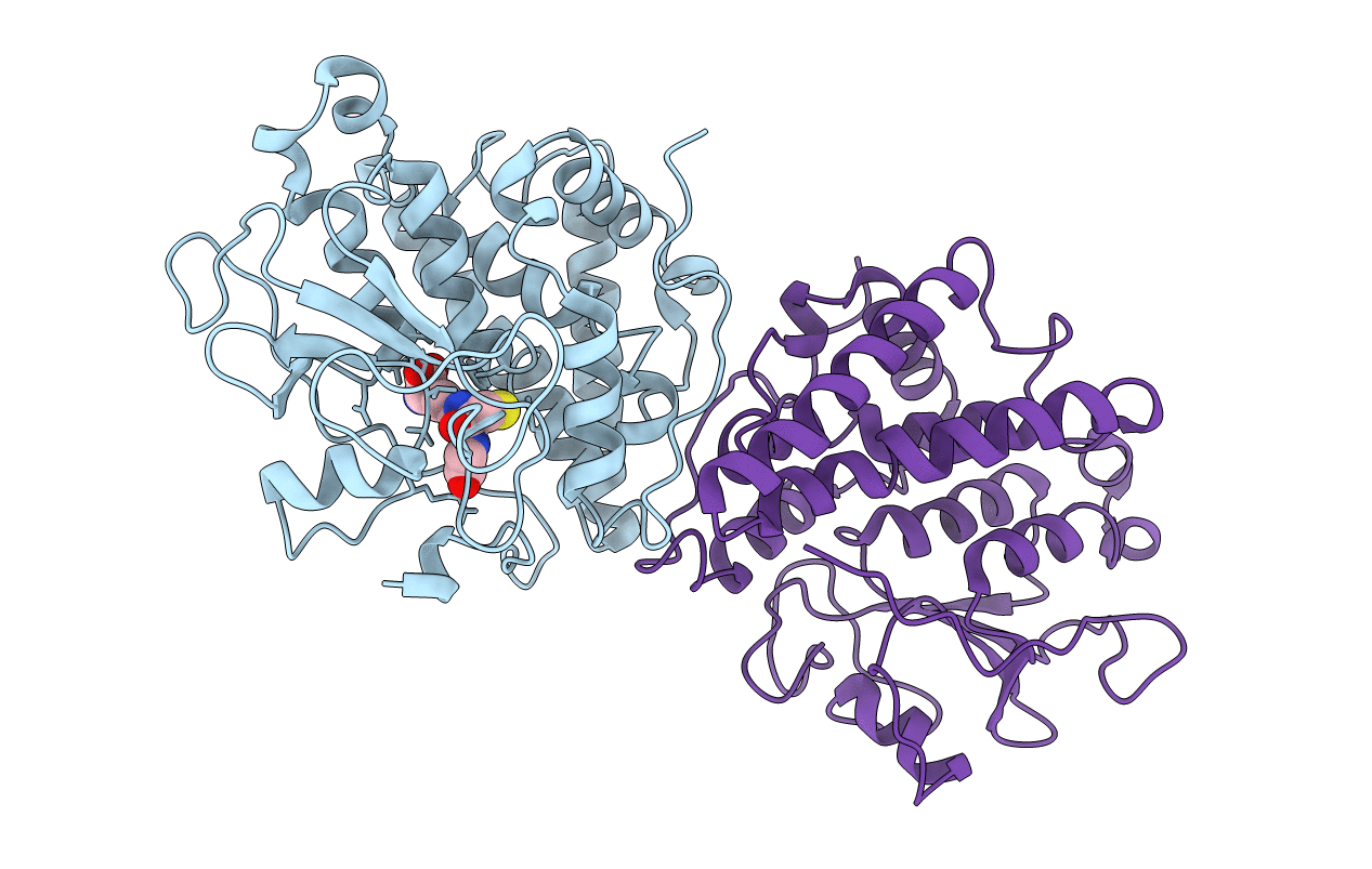 3PPU image