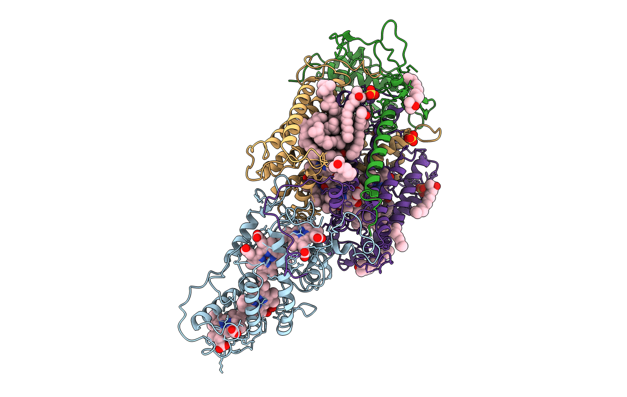 3PRC image