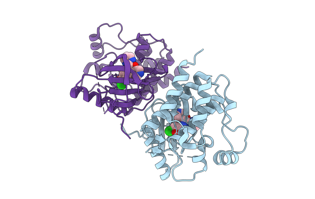 3PRF image