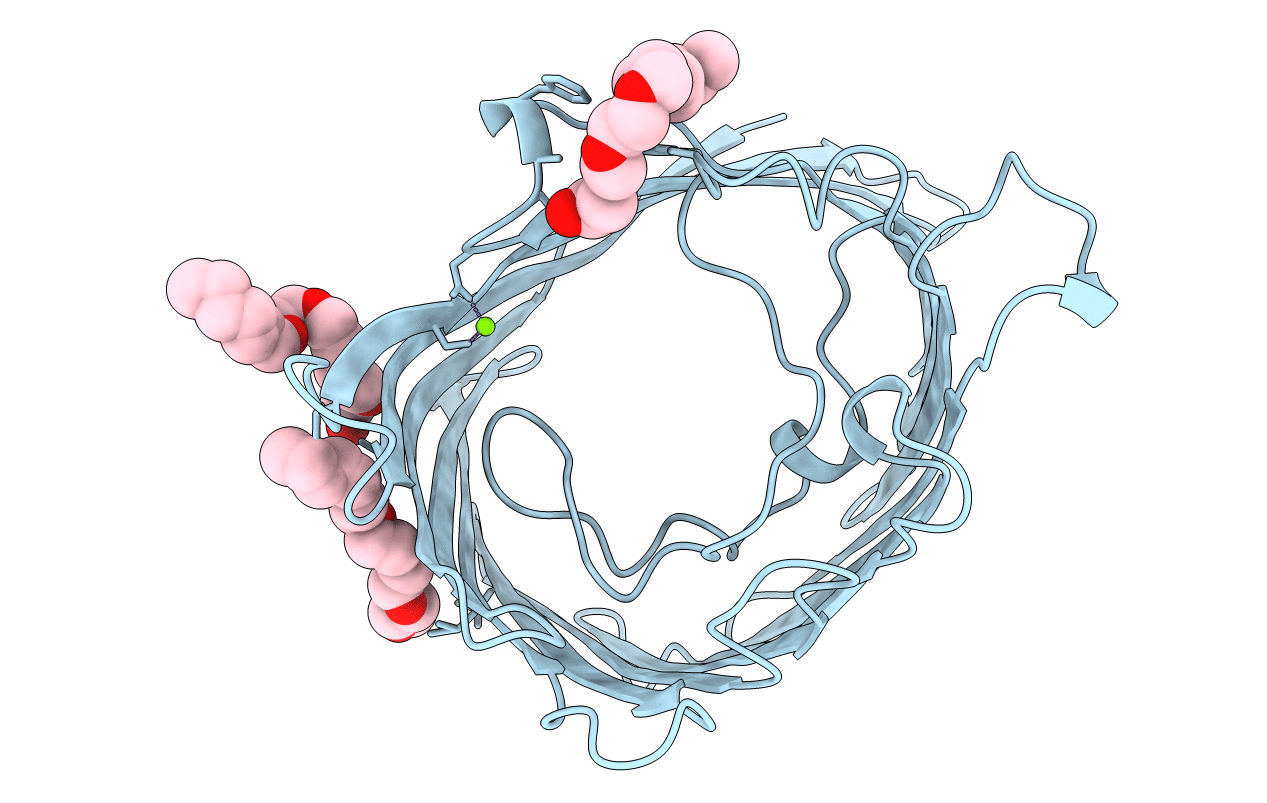3PRN image