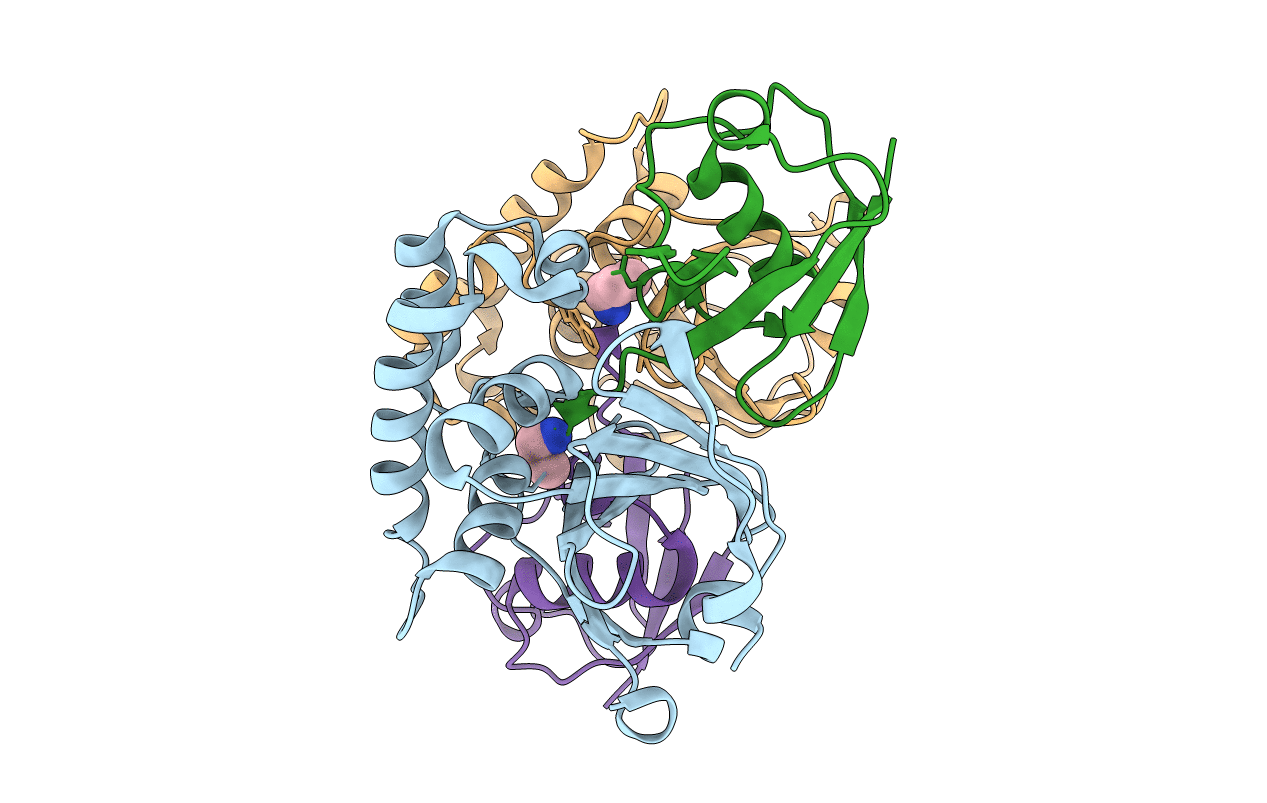 3PRP image